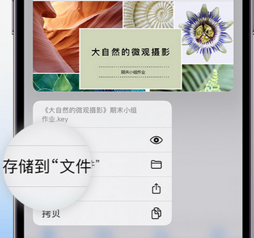 梅河口apple维修中心分享iPhone文件应用中存储和找到下载文件