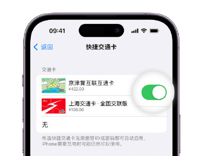 梅河口apple维修点分享iPhone上更换Apple Pay快捷交通卡手绘卡面 