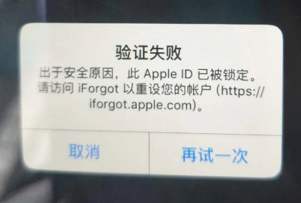 梅河口iPhone维修分享iPhone上正常登录或使用AppleID怎么办 