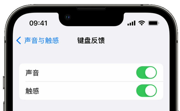 梅河口苹果手机维修分享iPhone 14触感键盘使用方法 