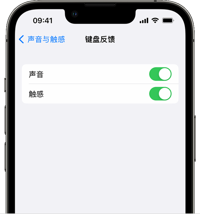 梅河口苹果14维修店分享如何在 iPhone 14 机型中使用触感键盘 