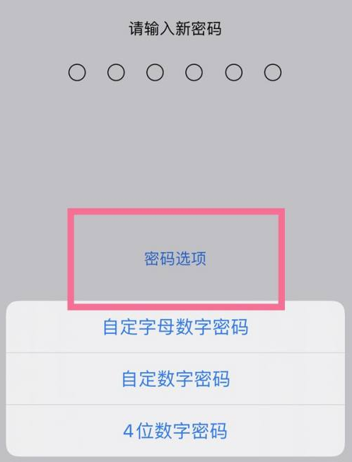 梅河口苹果14维修分享iPhone 14plus设置密码的方法 