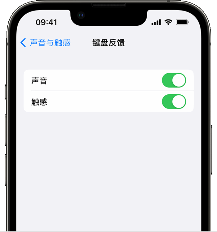 梅河口苹果14维修分享iPhone 14 系列机型如何开启键盘声音或触感反馈 