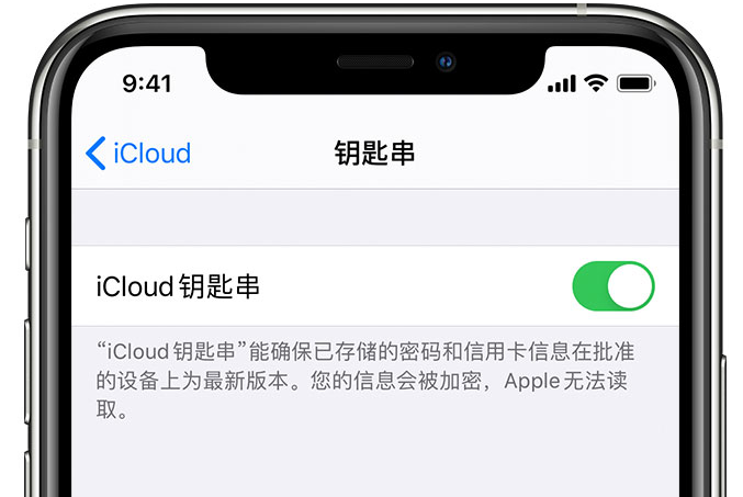 梅河口苹果手机维修分享在 iPhone 上开启 iCloud 钥匙串之后会储存哪些信息 