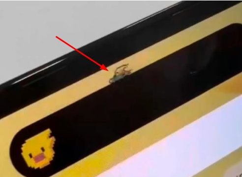 梅河口苹果14维修分享iPhone 14 Pro Max灵动岛怎么养宠物 