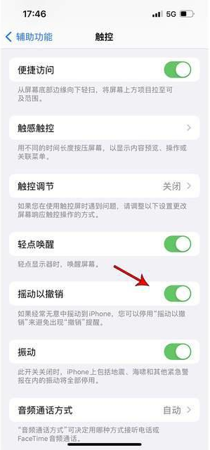 梅河口苹果手机维修分享iPhone手机如何设置摇一摇删除文字 