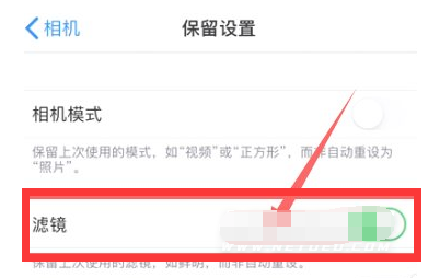 梅河口苹果13维修分享iPhone13拍照有绿点是怎么回事 