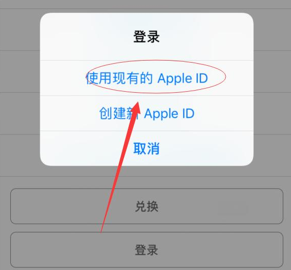 梅河口苹果手机维修分享两台iPhone设备可以同时登录一个Apple ID吗 