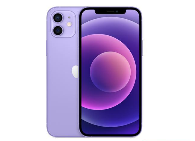 梅河口苹果手机维修分享现阶段要不要入手紫色版iPhone12 