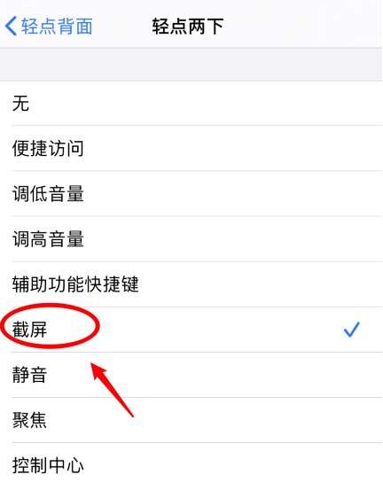 梅河口苹果手机维修分享iPhone12如何启用双击截屏 