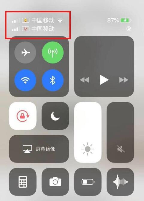 梅河口苹果手机维修分享为 iPhone 12 双卡设置标签 